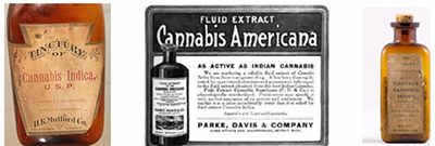 Old cannabis medicine bottles